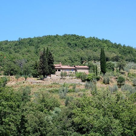 Allegro Agriturismo Argiano Arezzo Eksteriør billede
