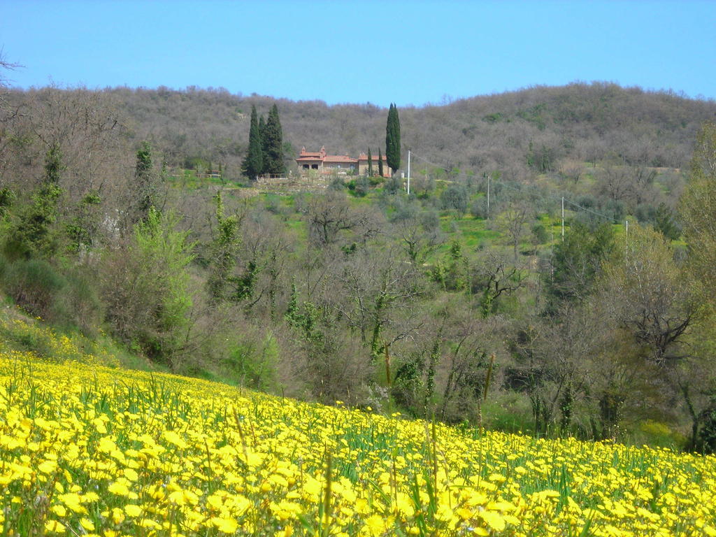 Allegro Agriturismo Argiano Arezzo Eksteriør billede